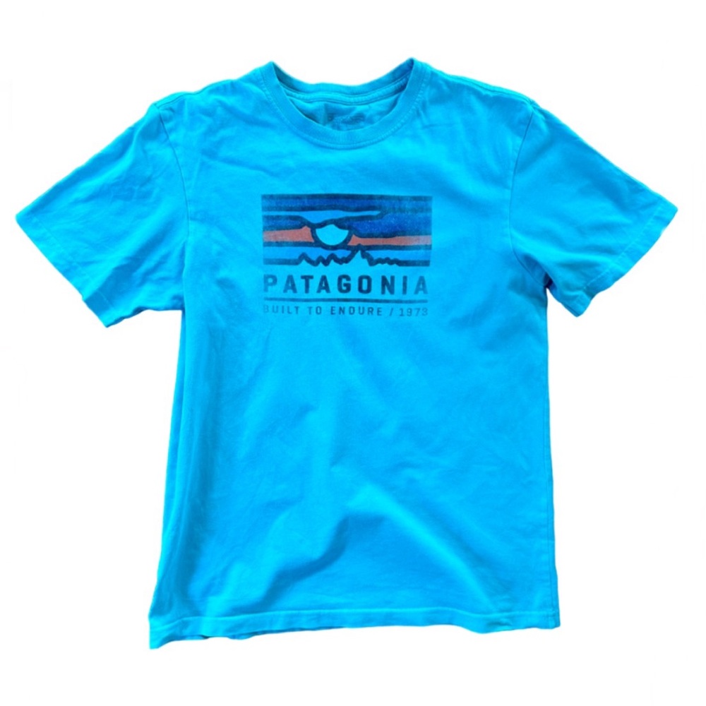 Patagonia Built to endure 1973 logo shirt light blue small